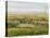 Wine Country View II-Tim O'toole-Stretched Canvas