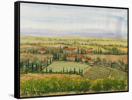 Wine Country View II-Tim O'toole-Framed Stretched Canvas
