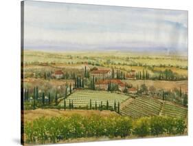 Wine Country View II-Tim O'toole-Stretched Canvas