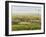 Wine Country View II-Tim O'toole-Framed Art Print