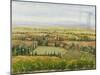 Wine Country View II-Tim O'toole-Mounted Art Print