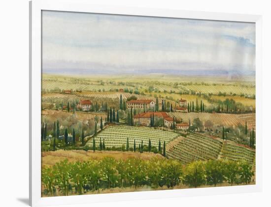 Wine Country View II-Tim O'toole-Framed Art Print