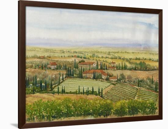 Wine Country View II-Tim O'toole-Framed Art Print