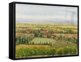 Wine Country View II-Tim O'toole-Framed Stretched Canvas