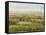 Wine Country View II-Tim O'toole-Framed Stretched Canvas