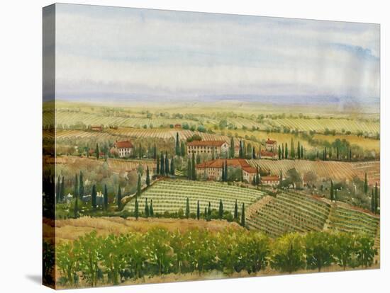 Wine Country View II-Tim O'toole-Stretched Canvas