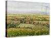 Wine Country View II-Tim O'toole-Stretched Canvas