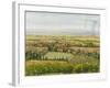 Wine Country View II-Tim O'toole-Framed Art Print