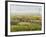 Wine Country View II-Tim O'toole-Framed Art Print