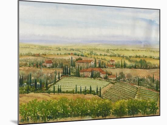 Wine Country View II-Tim O'toole-Mounted Art Print