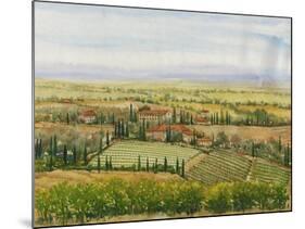 Wine Country View II-Tim O'toole-Mounted Art Print