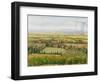 Wine Country View II-Tim O'toole-Framed Art Print