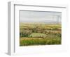 Wine Country View II-Tim O'toole-Framed Art Print