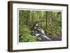 Wine Creek II-Donald Paulson-Framed Giclee Print