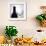 Wine Curves I-Monika Burkhart-Framed Photographic Print displayed on a wall