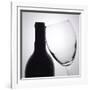 Wine Curves I-Monika Burkhart-Framed Photographic Print