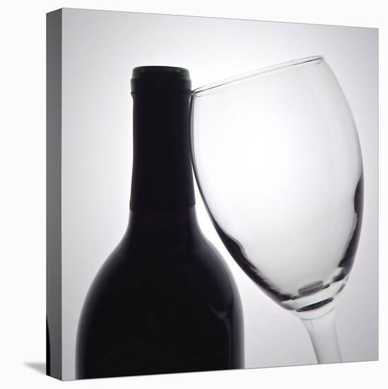 Wine Curves I-Monika Burkhart-Stretched Canvas