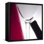 Wine Curves VI-Monika Burkhart-Framed Stretched Canvas