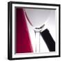 Wine Curves VI-Monika Burkhart-Framed Photographic Print