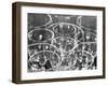 Wine Glasses (Experiment with Similar Forms), Mexico City, 1925-Tina Modotti-Framed Giclee Print