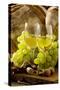 Wine Glasses with White Wine and Grapes-null-Stretched Canvas