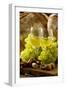 Wine Glasses with White Wine and Grapes-null-Framed Photographic Print