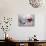 Wine Glasses-Monika Burkhart-Photographic Print displayed on a wall