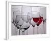 Wine Glasses-Monika Burkhart-Framed Photographic Print