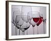 Wine Glasses-Monika Burkhart-Framed Photographic Print