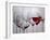 Wine Glasses-Monika Burkhart-Framed Photographic Print