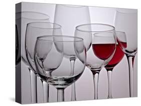 Wine Glasses-Monika Burkhart-Stretched Canvas