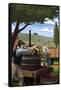 Wine Grape Crushing-Lantern Press-Framed Stretched Canvas