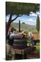 Wine Grape Crushing-Lantern Press-Stretched Canvas