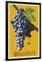 Wine Grape - Walla Walla, Washington-Lantern Press-Framed Art Print