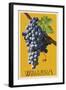 Wine Grape - Walla Walla, Washington-Lantern Press-Framed Art Print