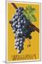 Wine Grape - Walla Walla, Washington-Lantern Press-Mounted Art Print