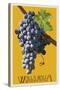 Wine Grape - Walla Walla, Washington-Lantern Press-Stretched Canvas