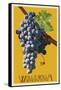 Wine Grape - Walla Walla, Washington-Lantern Press-Framed Stretched Canvas