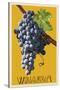 Wine Grape - Walla Walla, Washington-Lantern Press-Stretched Canvas