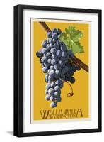 Wine Grape - Walla Walla, Washington-Lantern Press-Framed Art Print