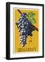 Wine Grape - Walla Walla, Washington-Lantern Press-Framed Art Print