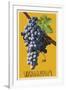 Wine Grape - Walla Walla, Washington-Lantern Press-Framed Art Print