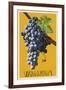 Wine Grape - Walla Walla, Washington-Lantern Press-Framed Art Print