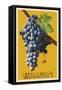 Wine Grape - Walla Walla, Washington-Lantern Press-Framed Stretched Canvas