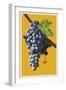 Wine Grapes-Lantern Press-Framed Art Print