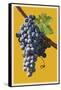 Wine Grapes-Lantern Press-Framed Stretched Canvas