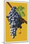 Wine Grapes-Lantern Press-Mounted Art Print