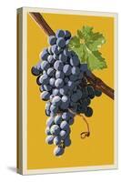 Wine Grapes-Lantern Press-Stretched Canvas