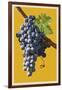 Wine Grapes-Lantern Press-Framed Art Print