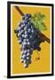 Wine Grapes-Lantern Press-Framed Art Print